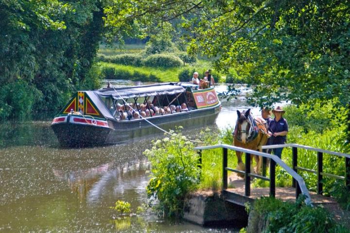 Iona - on the River Wey being horsedrawn