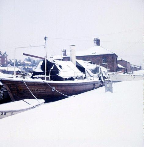 Belle in the snow