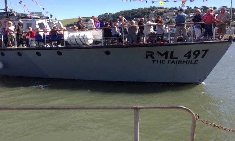 RML497/The Fairmile - on the River Dart