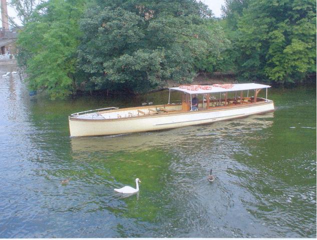 Lotus on river - port side