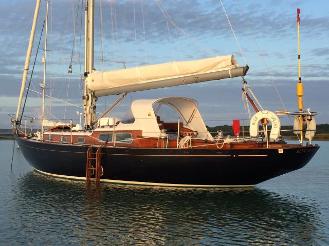 Blue Saluki at sunrise anchored