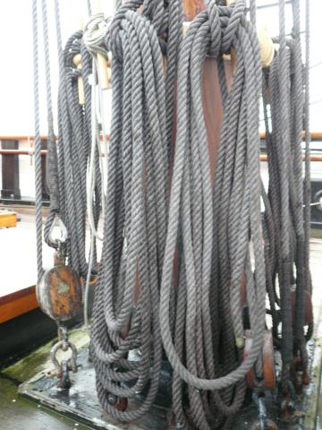 Discovery - coiled halyards