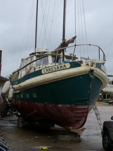 Caresana - bow
