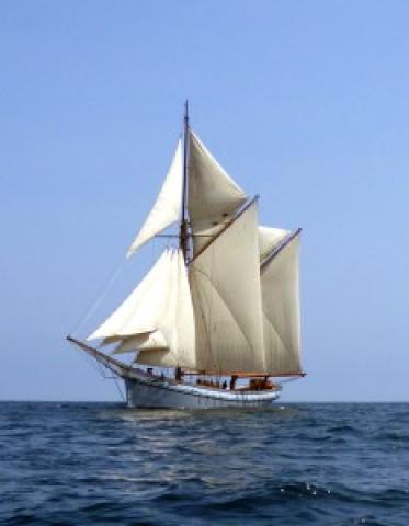 Irene sailing, port side view