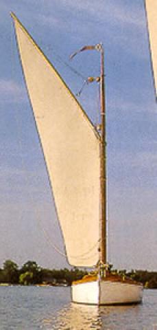 Olive under sail - bow view