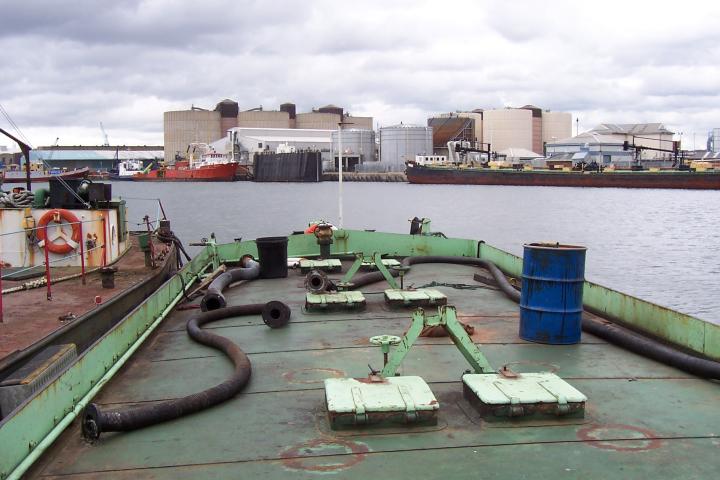 Hen on deck