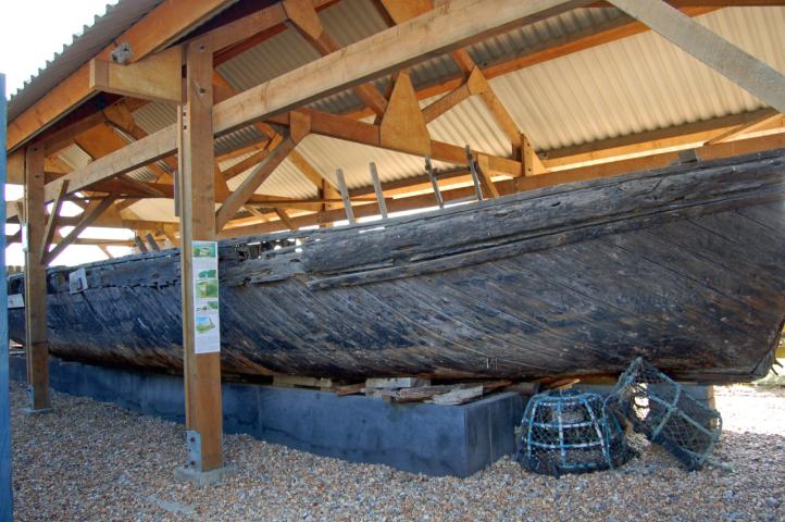 Primrose at the Shipwreck museum 2