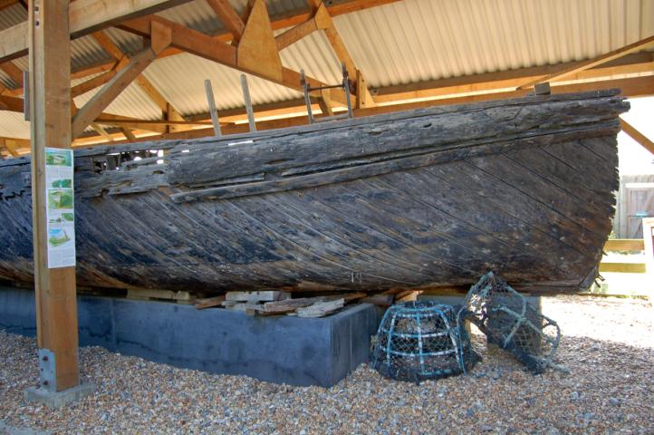 Primrose at Shipwreck museum 1