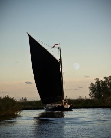 Maud on the River Yare, Oct 2014