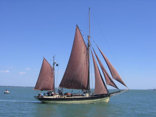 Speedwell in the Solent