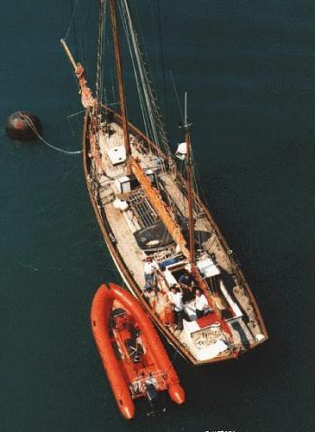 Speedwell - aerial view