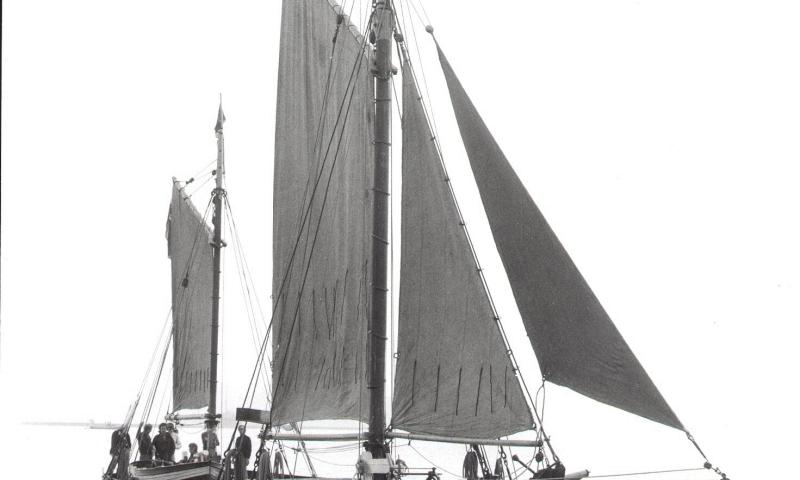 Shamrock under sail - starboard bow