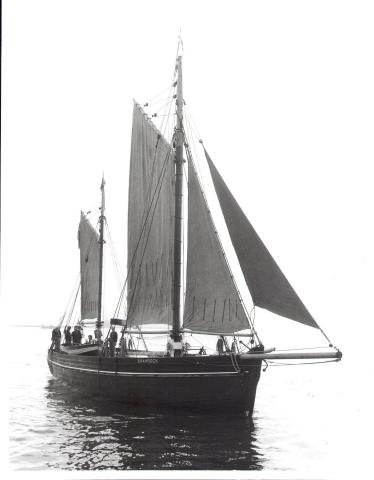 Shamrock under sail - starboard bow