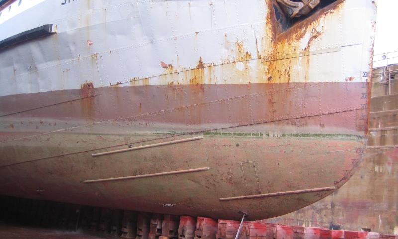 Shieldhall - shows the starboard bow area, just after the dock had been drained. Little marine growth underwater.