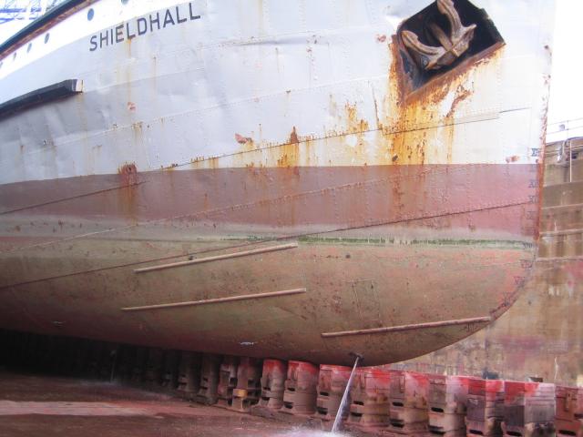 Shieldhall - shows the starboard bow area, just after the dock had been drained. Little marine growth underwater.