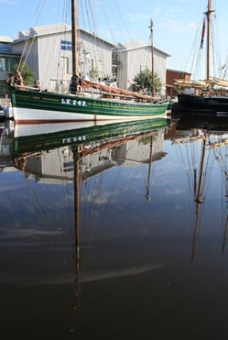 Photo Comp 2012 entry: Swan - early morning, Uddevall, Sweden; July 2012