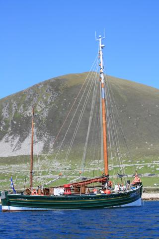 Swan in Village Bay, St Kilda June 2011