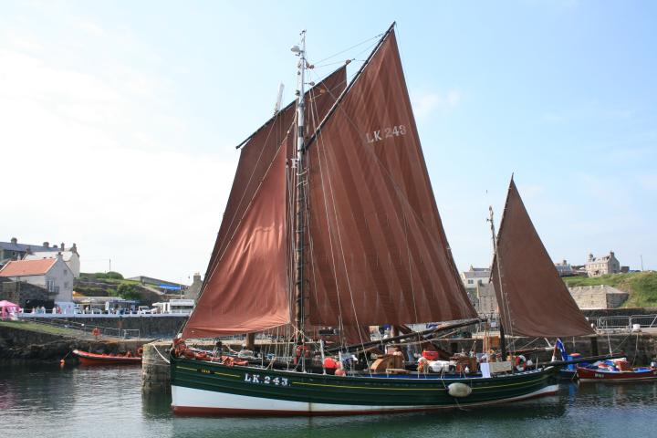 Swan at Scottish Traditional Boat Festival, Portsoy 2010