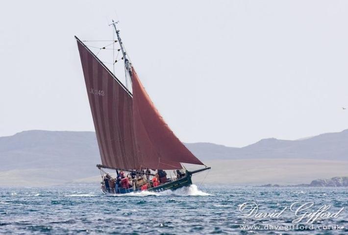 Swan - undersail