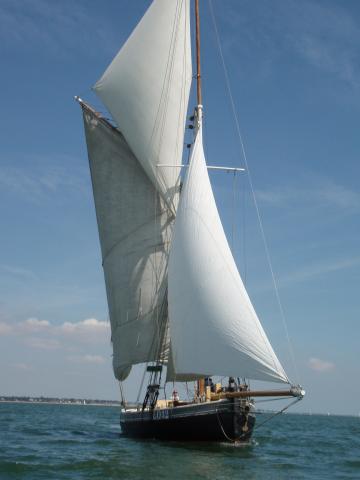 Saxonia under sail