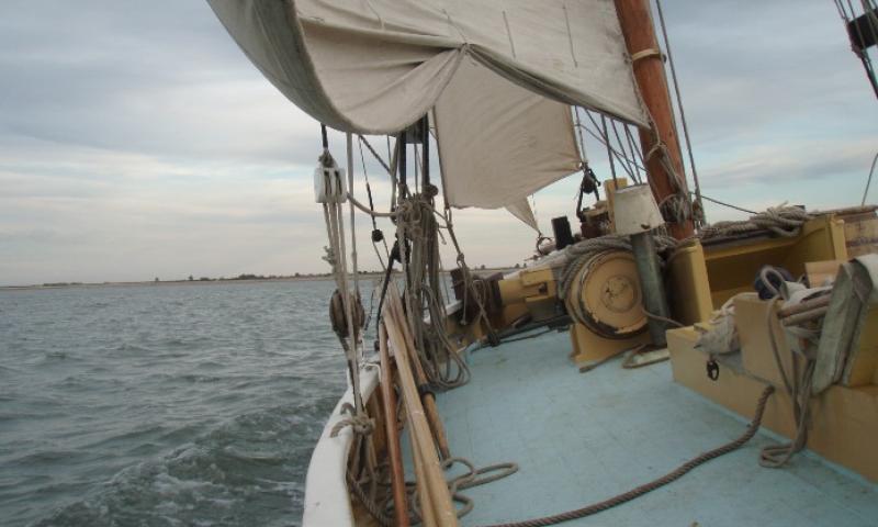 Saxonia sailing