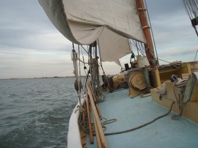 Saxonia sailing