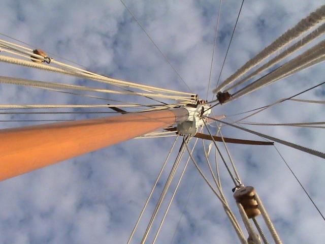 Maria's mast