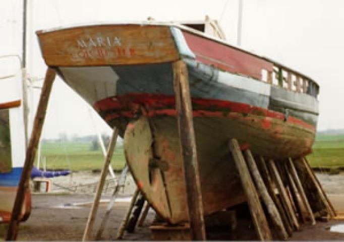 MARIA - stern looking forward.