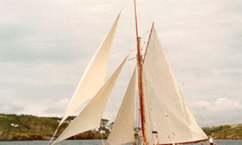 MARIGOLD - under sail. Port side.