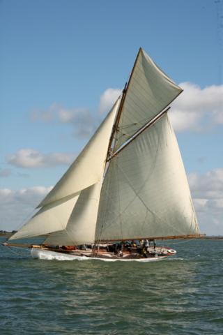 HARDY - under sail