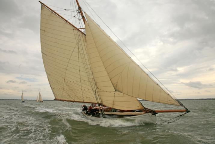 HARDY - under sail