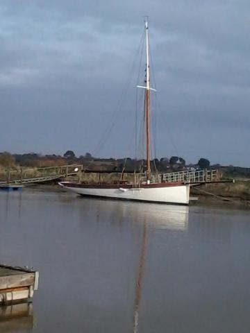 Leila - following move from Southwold end of Feb 2013