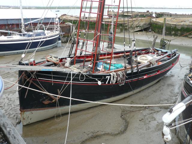 Stormy Petrel - port bow