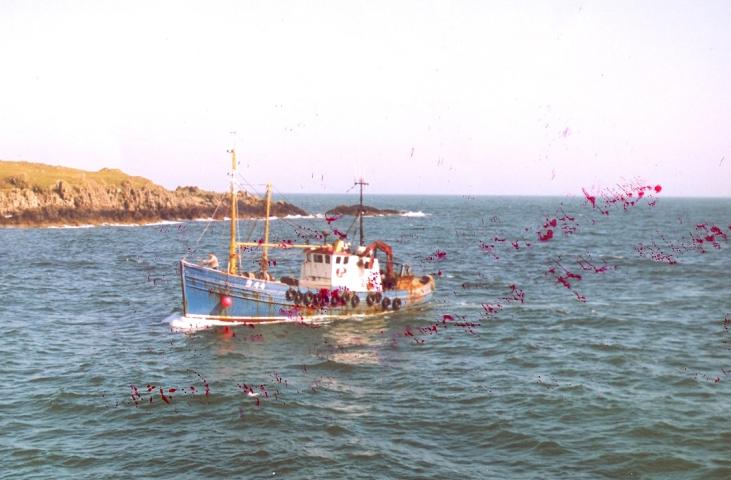 Mayflower of Portavogie - port side view