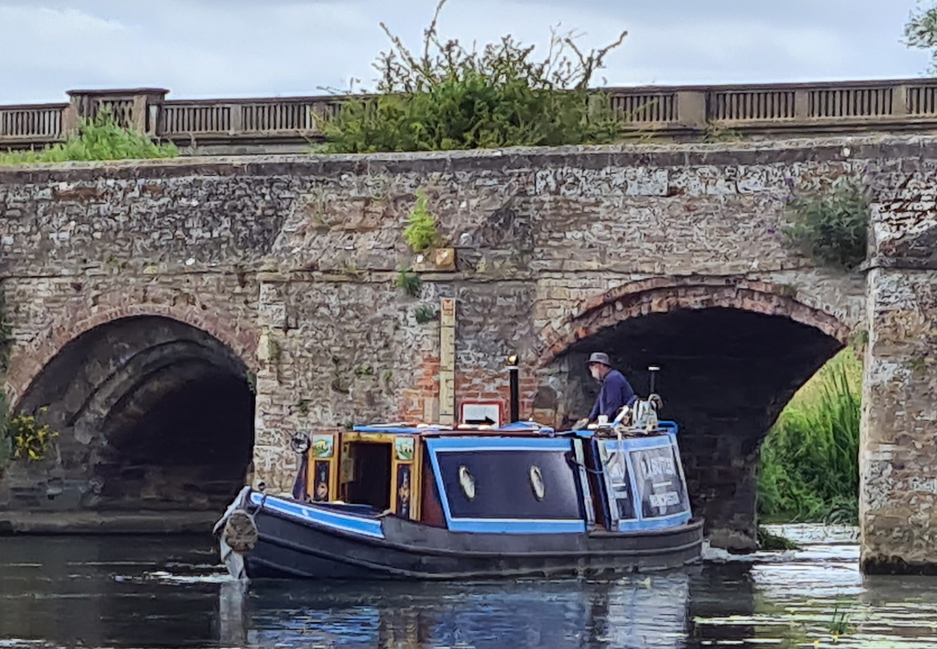 Owl on the canal
