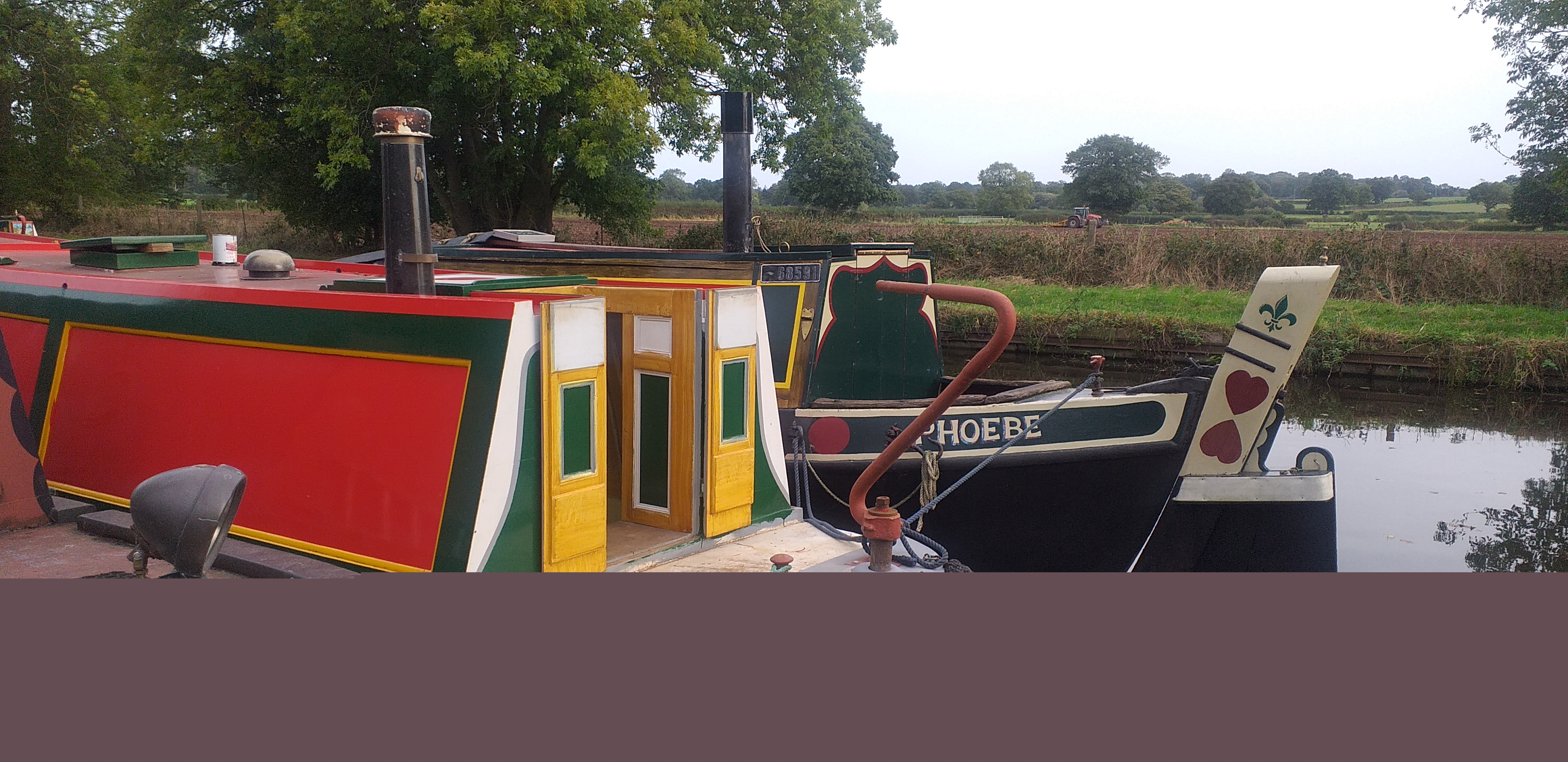 Elk moored