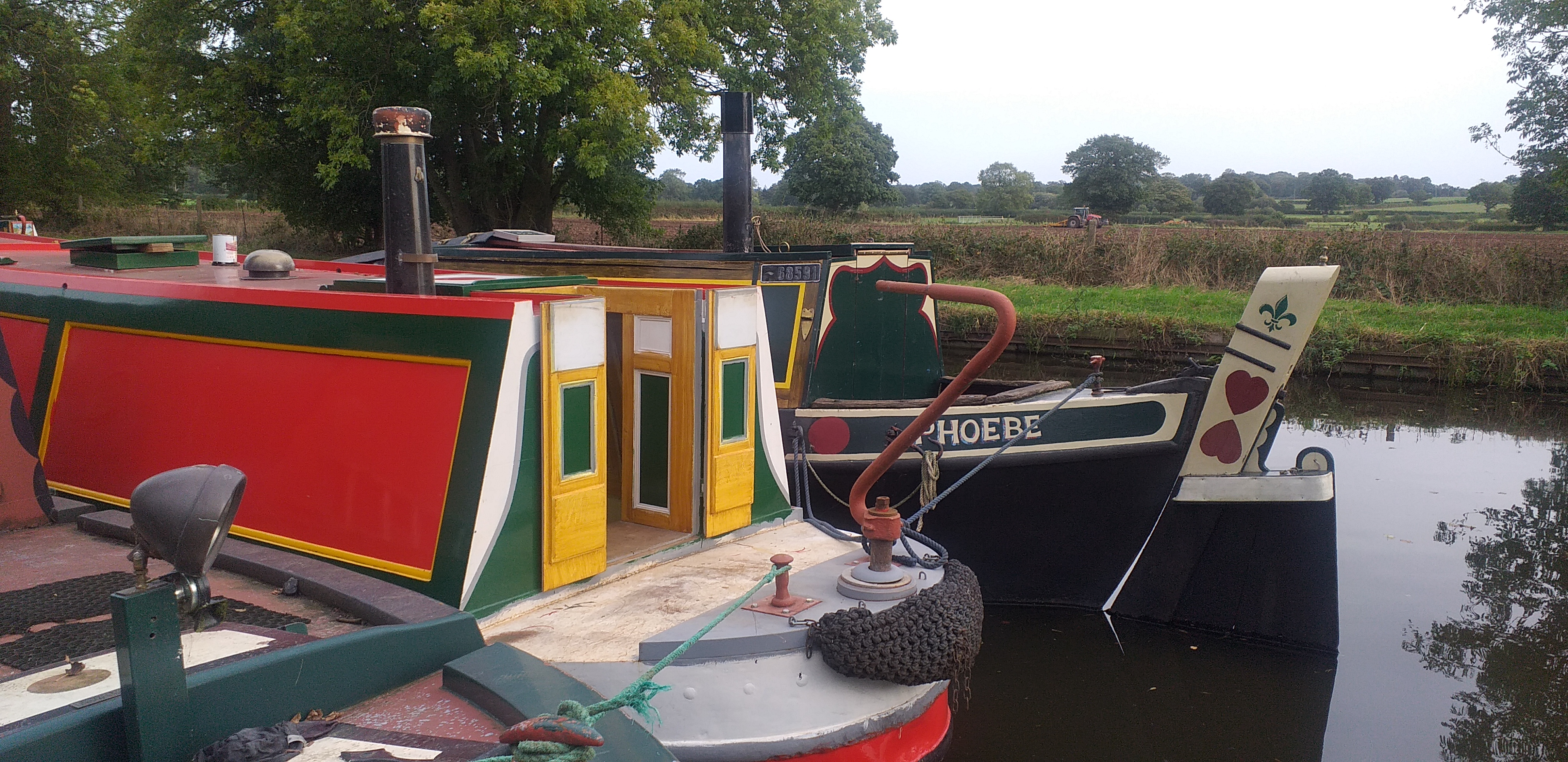 Elk moored