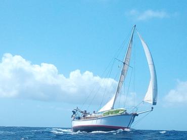 Ambler at sea