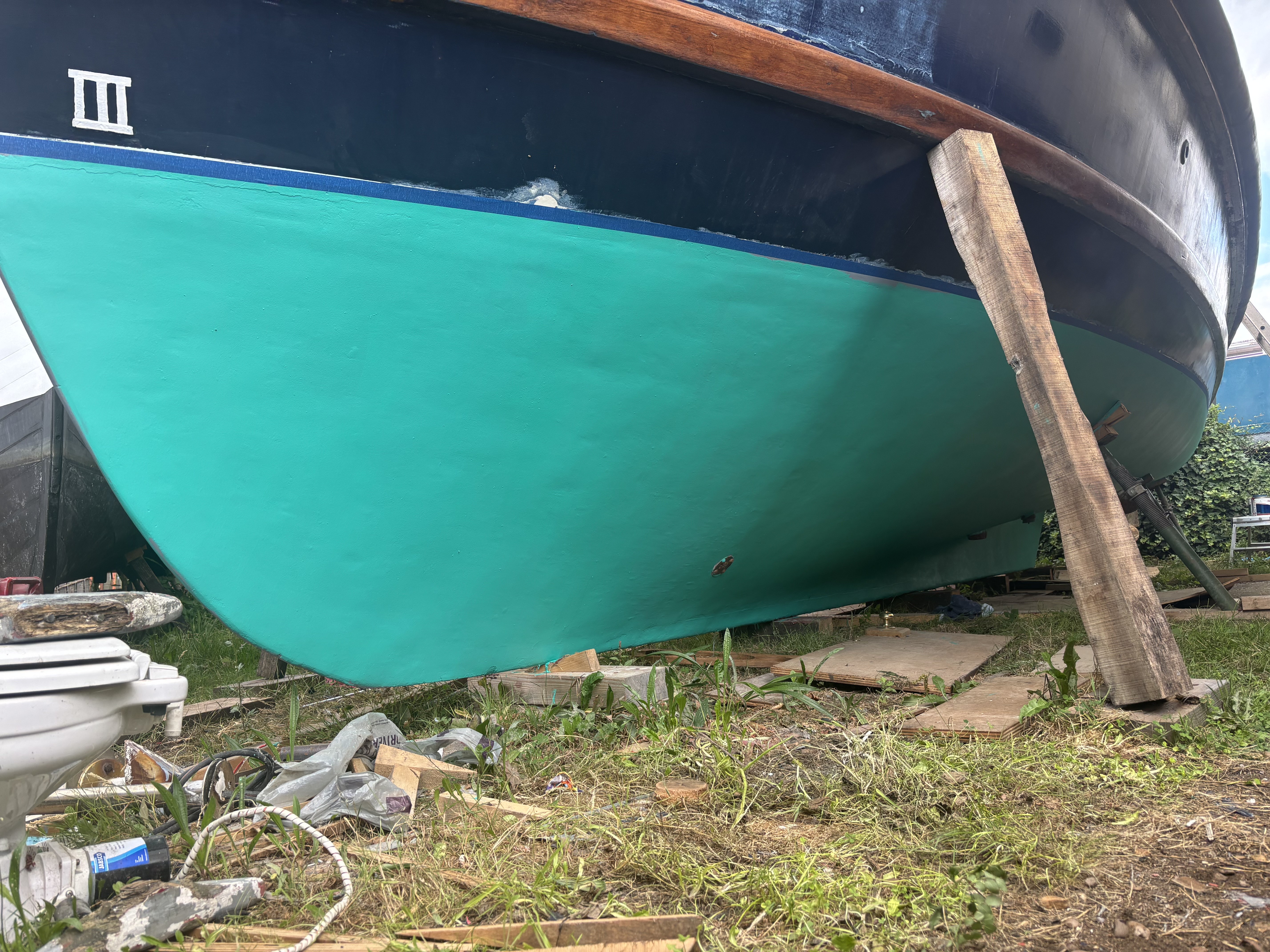 Parhelia hull