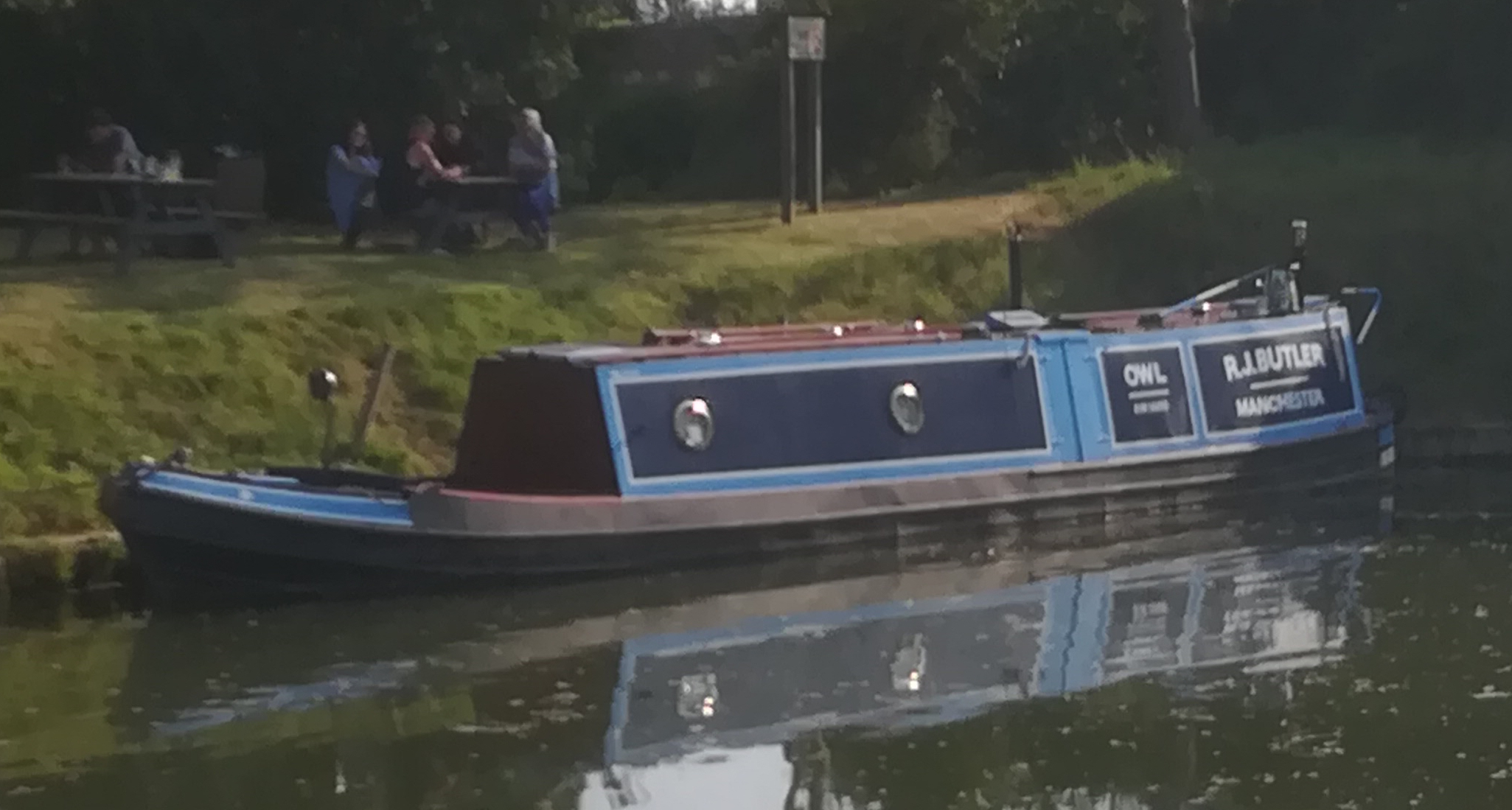 Owl on the canal