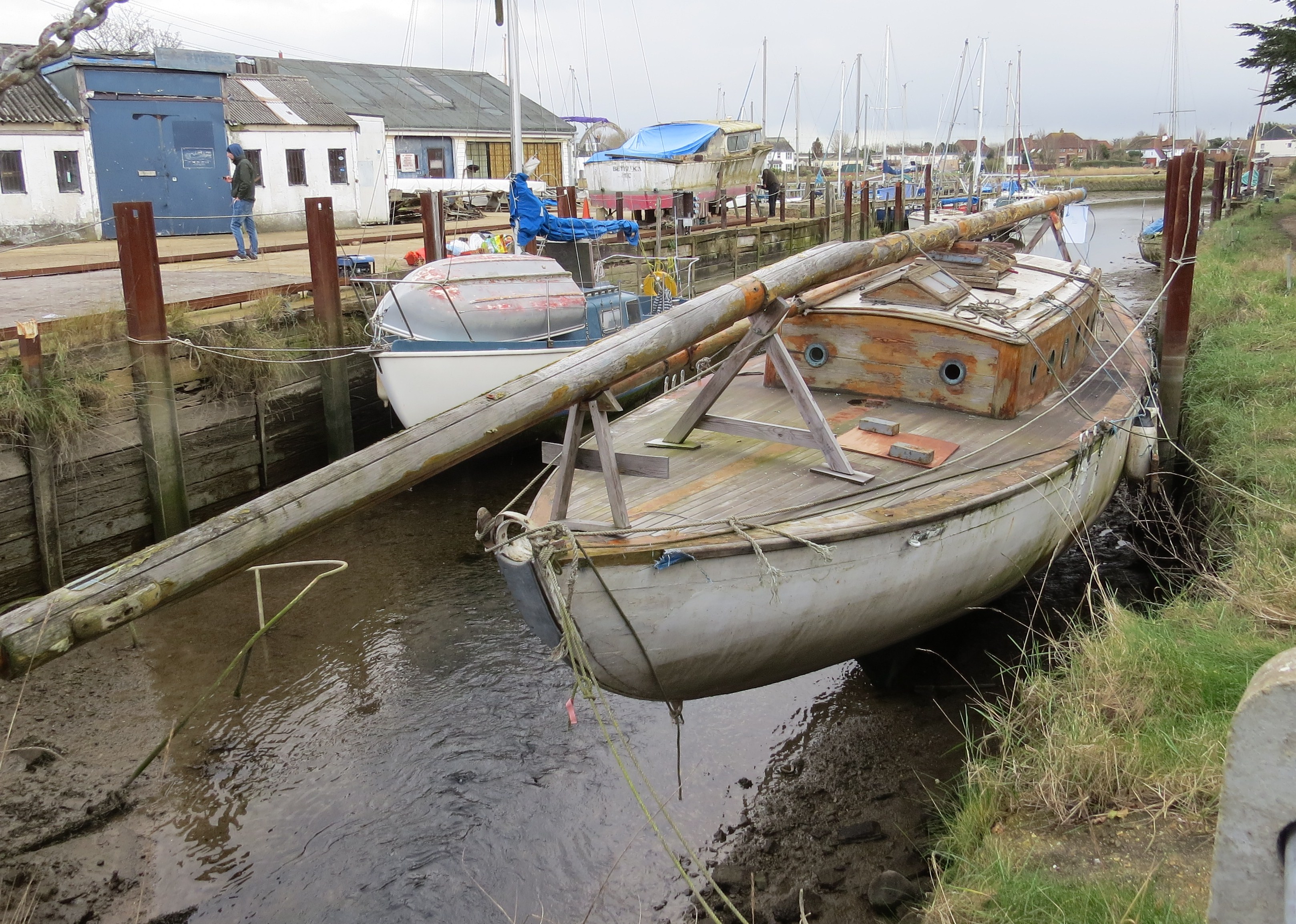 Freya at Dolphin Quay in 2016
