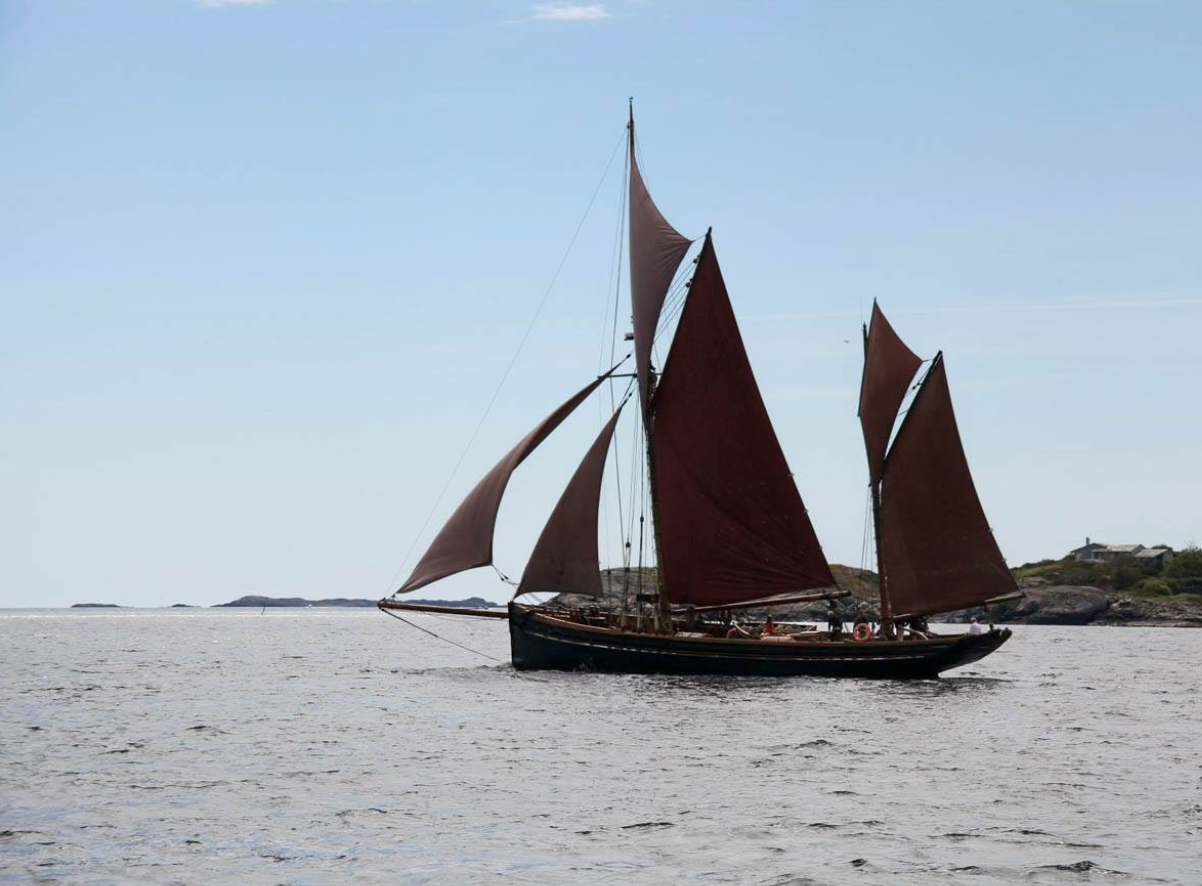 DEODAR sailing in Brixham