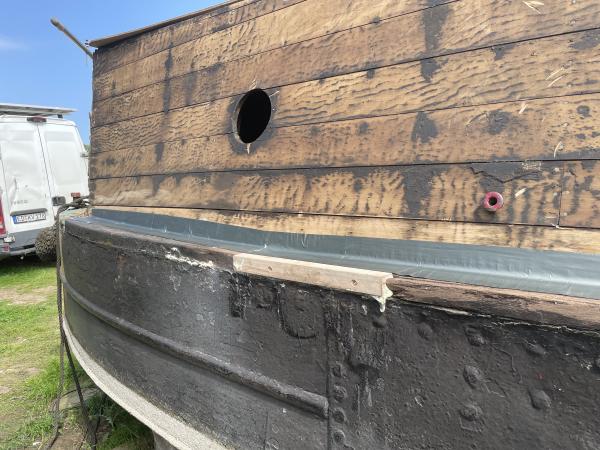 Ivy Hotholer's tongue and groove