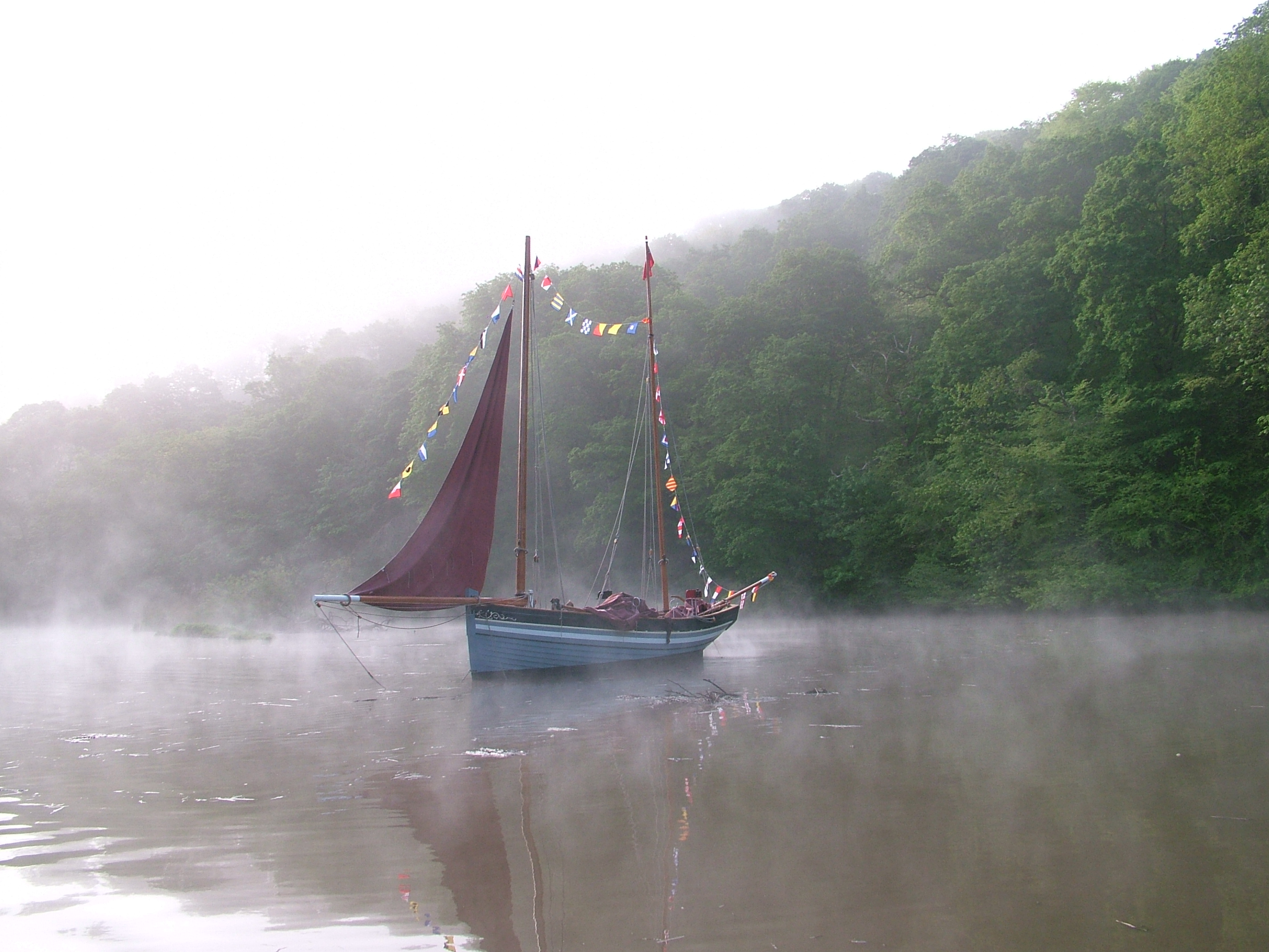 Alert in the mist
