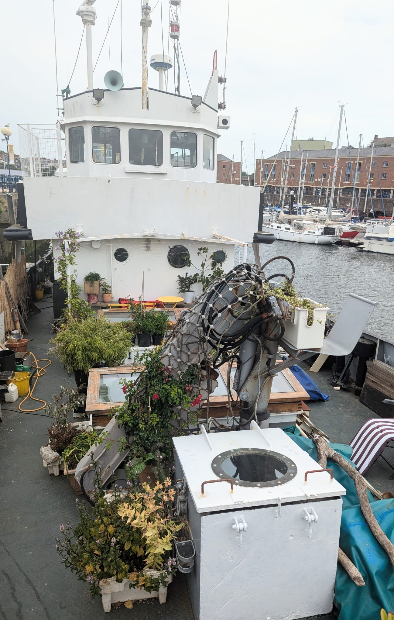 Elkstone on the deck