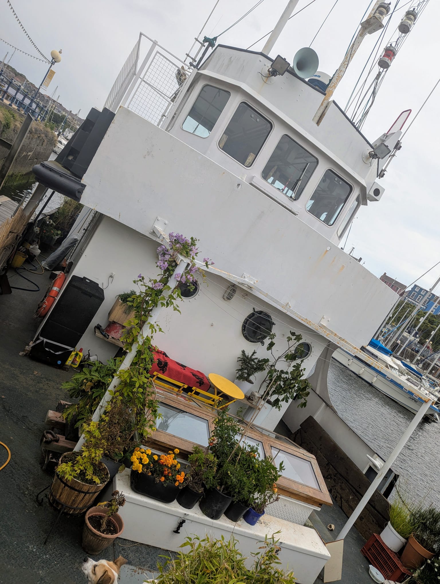 Elkstone - on the deck