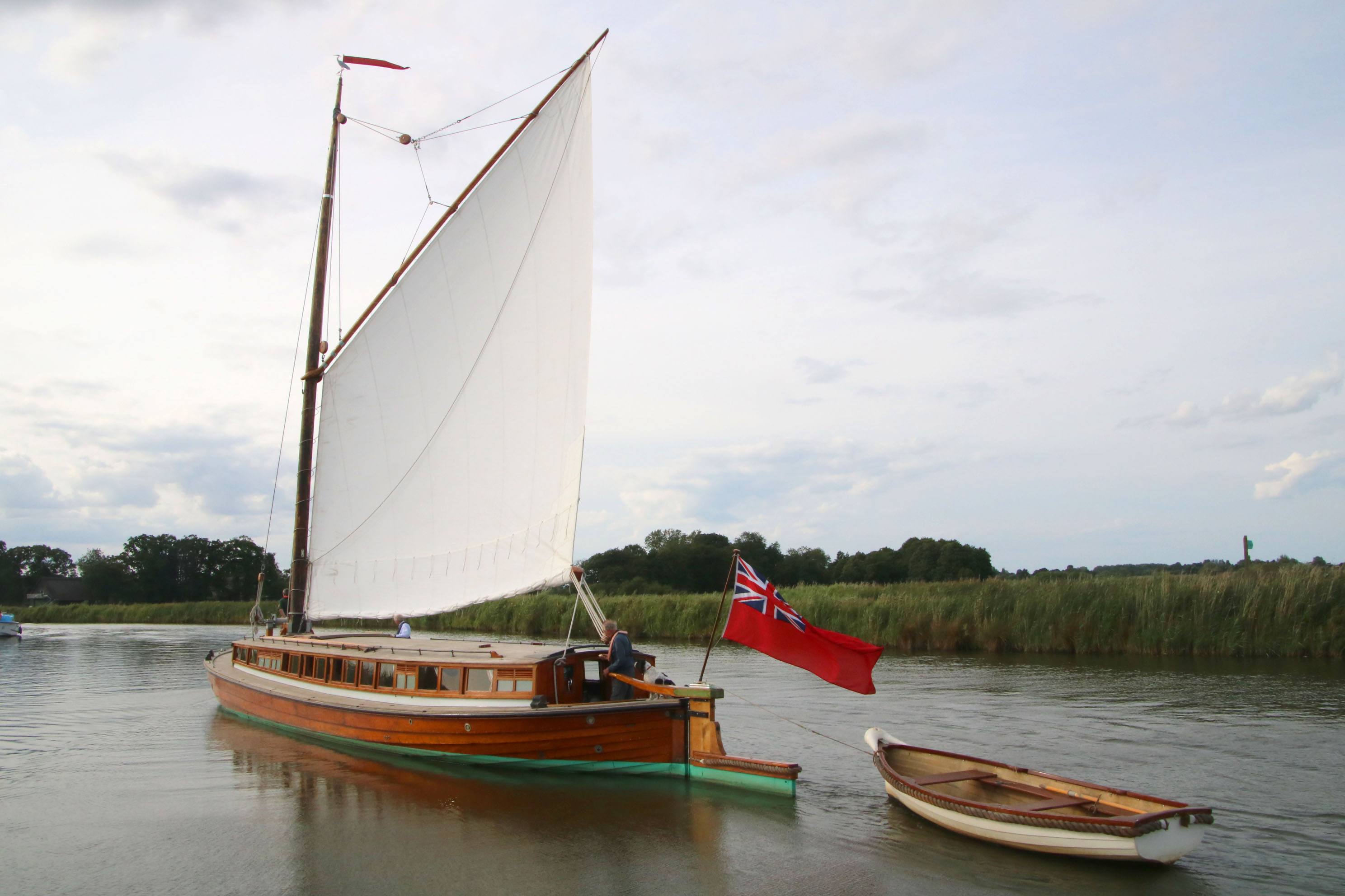 Ardea sailing