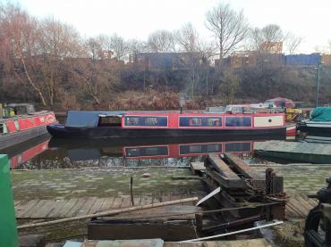 Tamarack in a waterway